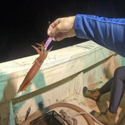 激荒れイカメタル