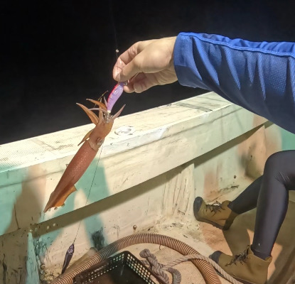 激荒れイカメタル