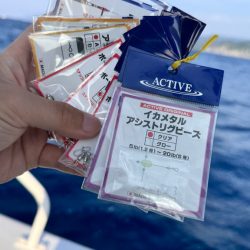 ケンサキイカ/イカメタル・オモリグ