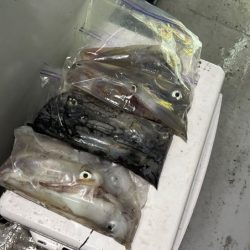 【鳥取イカメタル】今回も潮激流と激渋