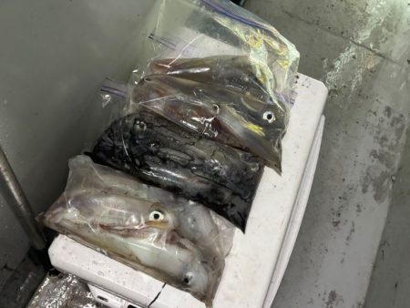 【鳥取イカメタル】今回も潮激流と激渋