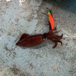 土砂降りで激渋の中竿頭ゲット！