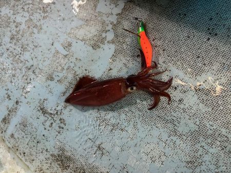 土砂降りで激渋の中竿頭ゲット！