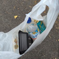 清掃活動：暑さより熱さが欲しい