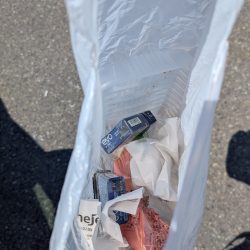 清掃活動：アオリ厳しくアコウゲーム