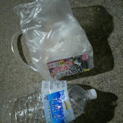 清掃活動：真夏のナイトファミリーフィッシン…