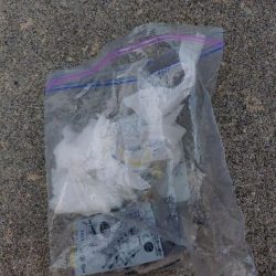 清掃活動：今年初の大田市イカメタル