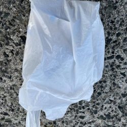 清掃活動：シオっこ