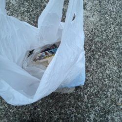 清掃活動：アジの日