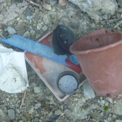 清掃活動：夕方に良い風