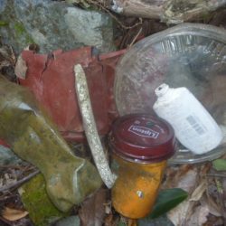 清掃活動：8月バス釣り