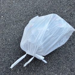 清掃活動：エビ撒き散らしセイゴ釣れてます