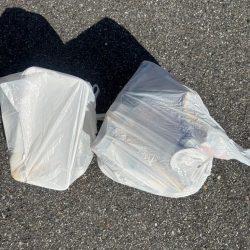 清掃活動：終わりかけにチヌ釣れした！