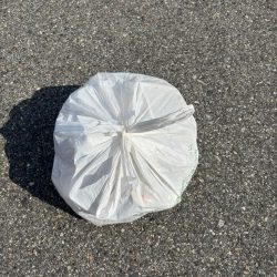 清掃活動：エビ撒きでチヌ好調です