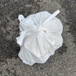 清掃活動：エビ撒き　渋い中何とか釣れました…