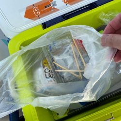 清掃活動：タコキロアップ