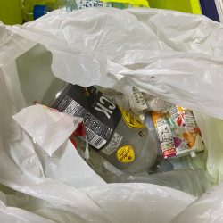 清掃活動：大人の夜遊び