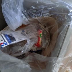 清掃活動：夏キスファミリーフィッシング2