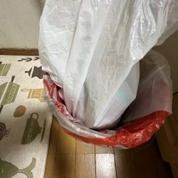 清掃活動：アジだけ元気