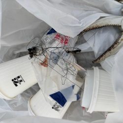 清掃活動：ジグサビキ　19