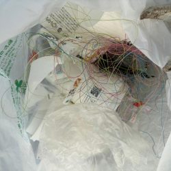 清掃活動：ジグサビキ　22