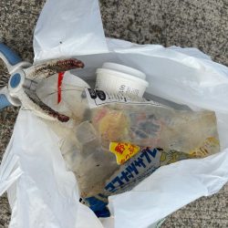 清掃活動：ジグサビキ　16