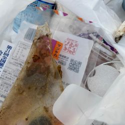 清掃活動：ジグサビキ　20