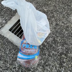 清掃活動：アジしか勝たん