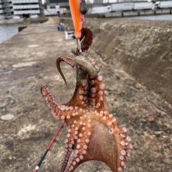 タコ釣行〜
