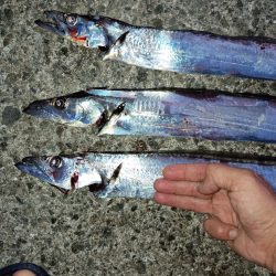 初めての釣り場で