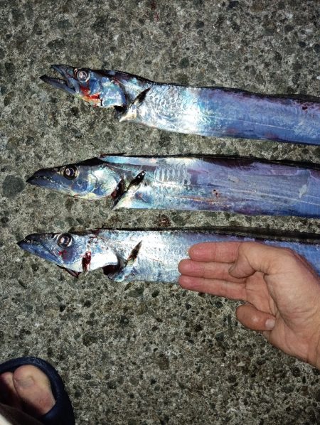 初めての釣り場で