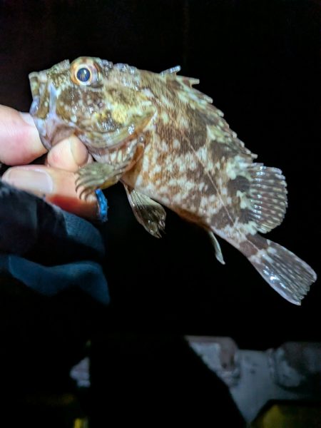 皆さん、何を。