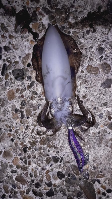 脳汁出ました！