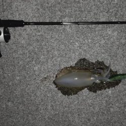 集中して下さい！