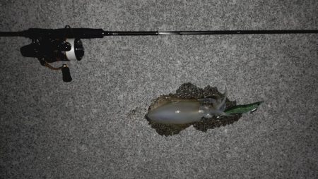 集中して下さい！