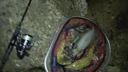 24ルビアス、墨付け完了！