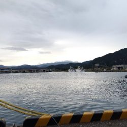 やっぱりだめでした