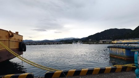 やっぱりだめでした