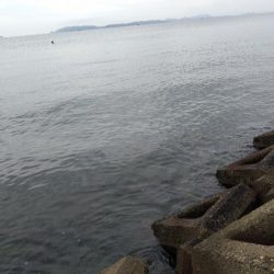 数だけはのびました。