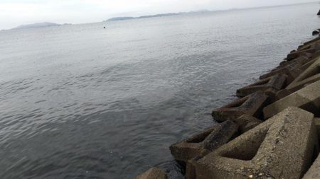 数だけはのびました。