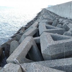 暗くなるのが早くなりました