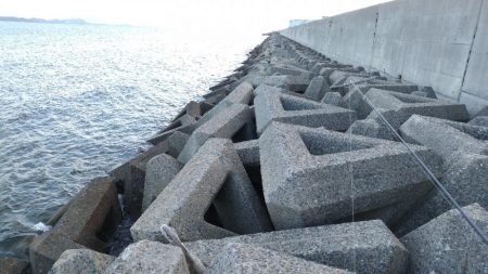 暗くなるのが早くなりました