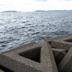 ちょい投げ・・・ではない