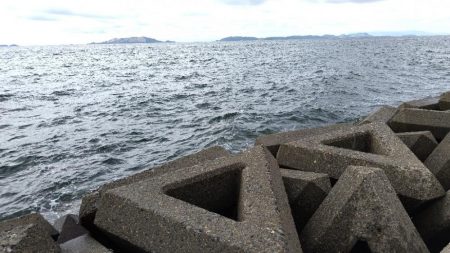 ちょい投げ・・・ではない