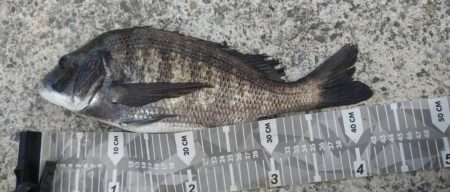 今年初太刀魚調査＆予期せぬ外道も