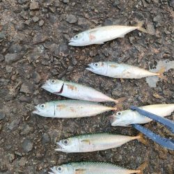 今シーズン初釣行＆初釣果