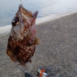 暮れる前にひと投げ