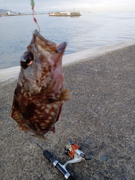 暮れる前にひと投げ