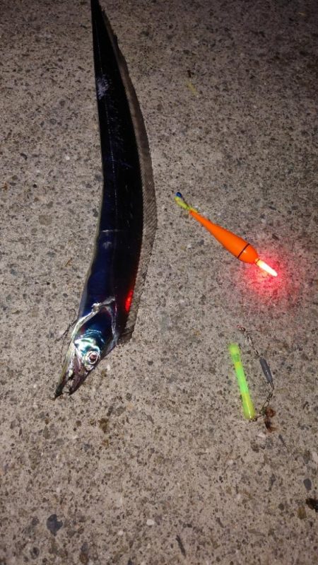 電気ウキ釣り 14