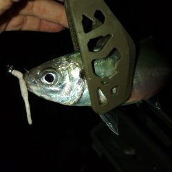 フロートゲーム~